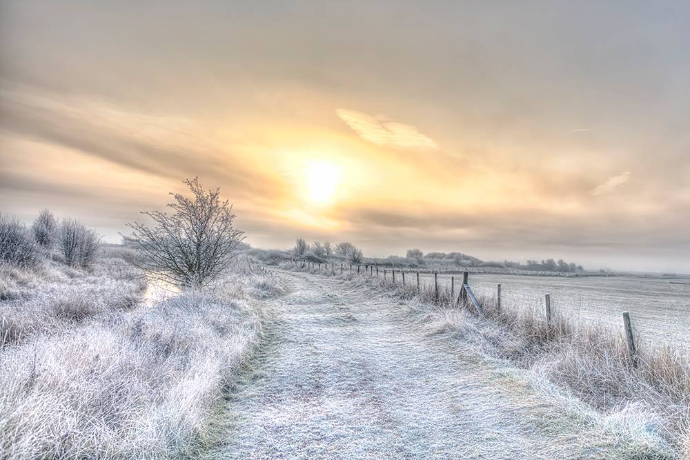 Frosty January Creek